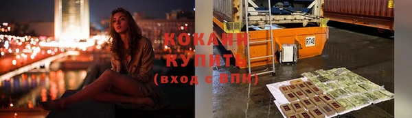 тгк Алзамай