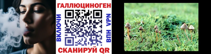 Псилоцибиновые грибы прущие грибы  купить   Шуя 
