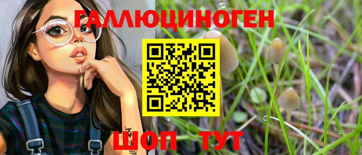 Псилоцибиновые грибы мухоморы Шуя