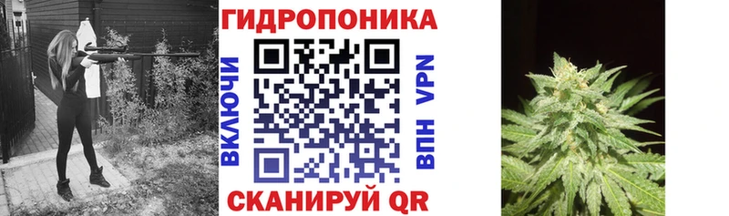 mega онион  Шуя  Каннабис Ganja 
